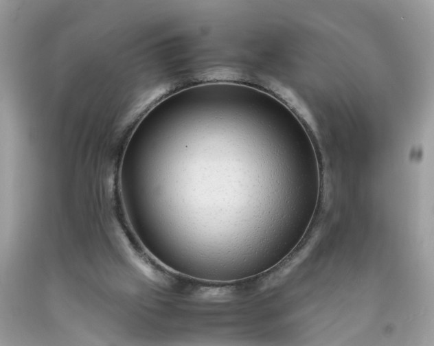 X0000090430057200707272141