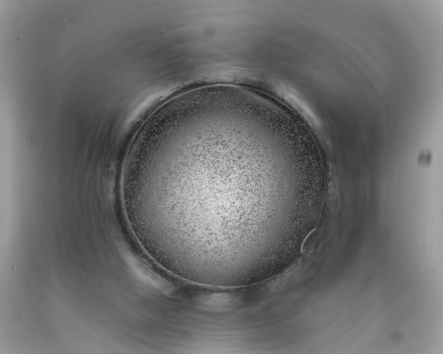 X0000090430058200707272141