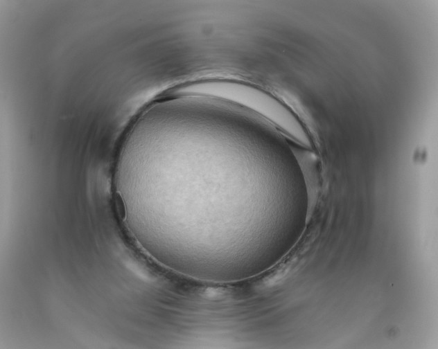 X0000090430060200707272141