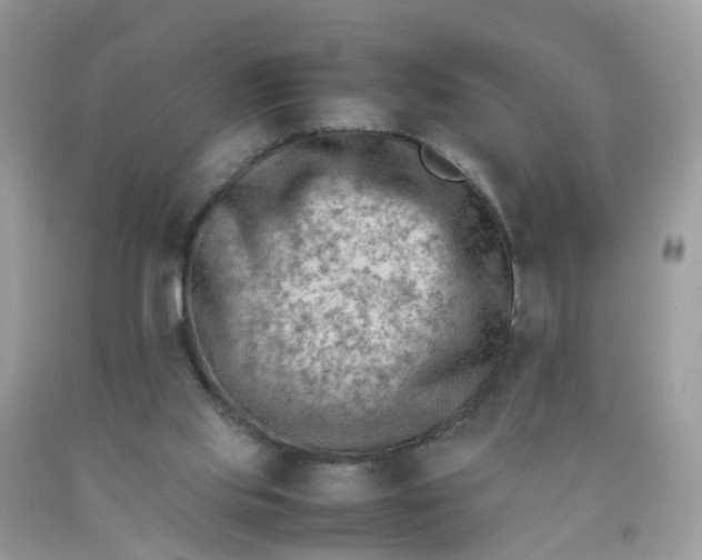 X0000090430061200707272141