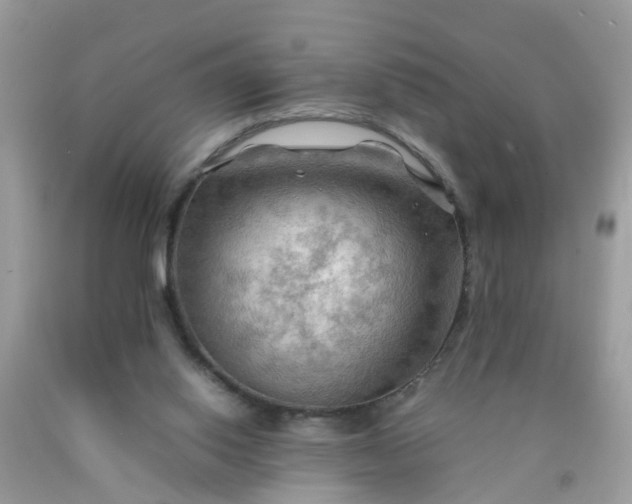 X0000090430062200707272141