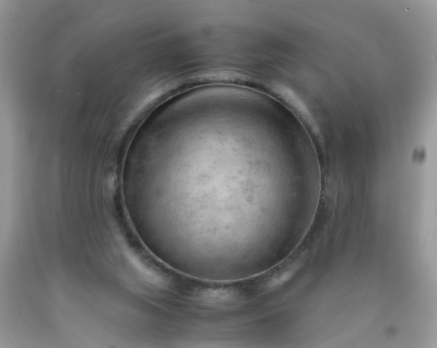 X0000090430063200707272141