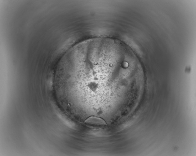 X0000090430065200707272141