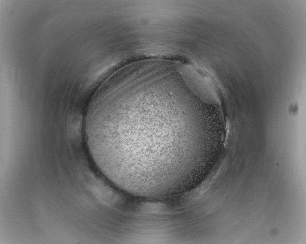 X0000090430066200707272141