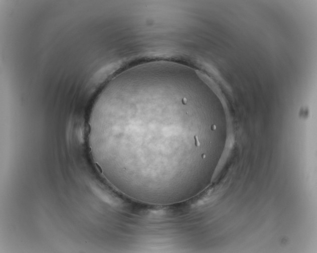 X0000090430068200707272141