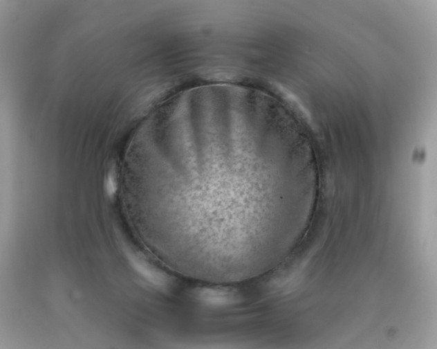 X0000090430069200707272141