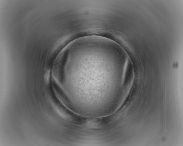 X0000090430070200707272141