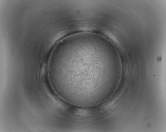 X0000090430071200707272141