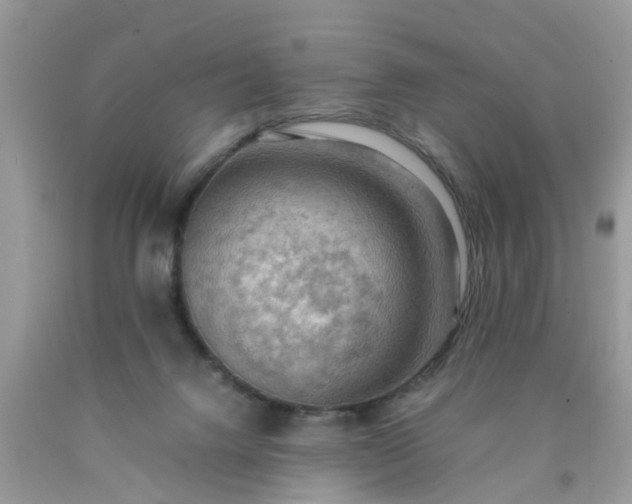 X0000090430072200707272141