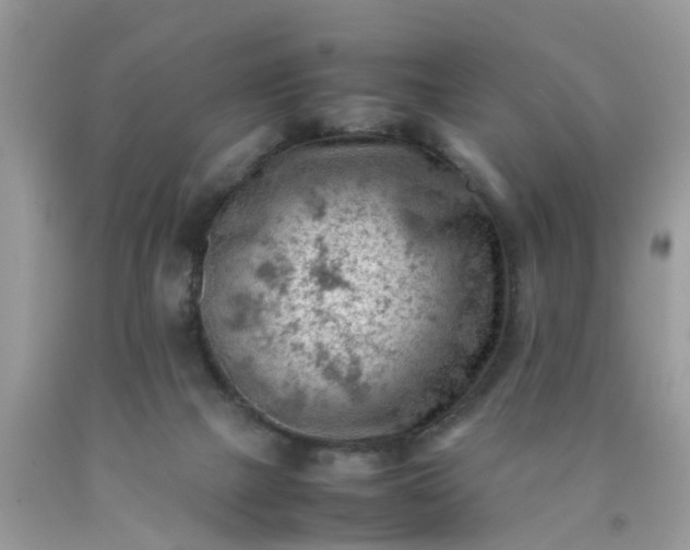 X0000090430073200707272141