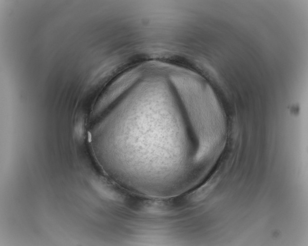 X0000090430074200707272141