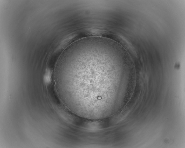 X0000090430075200707272141