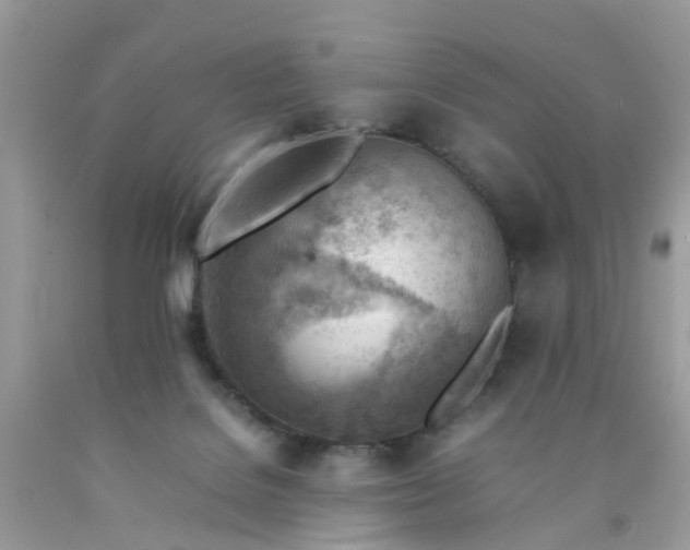 X0000090430076200707272141