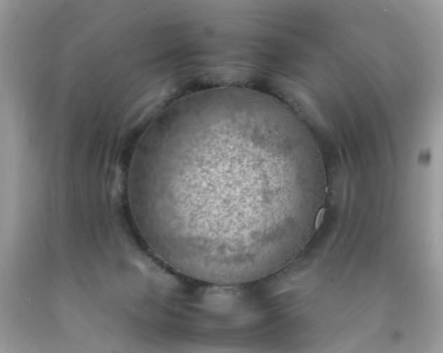 X0000090430077200707272141