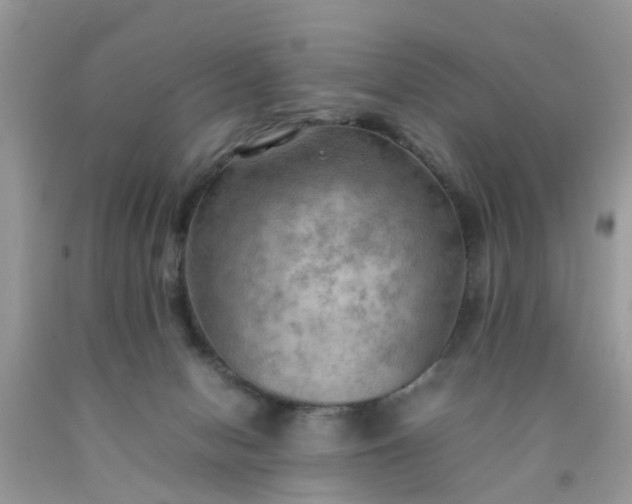 X0000090430078200707272141