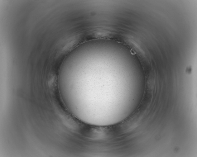 X0000090430079200707272141