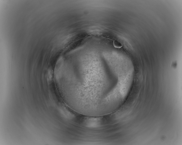 X0000090430081200707272141