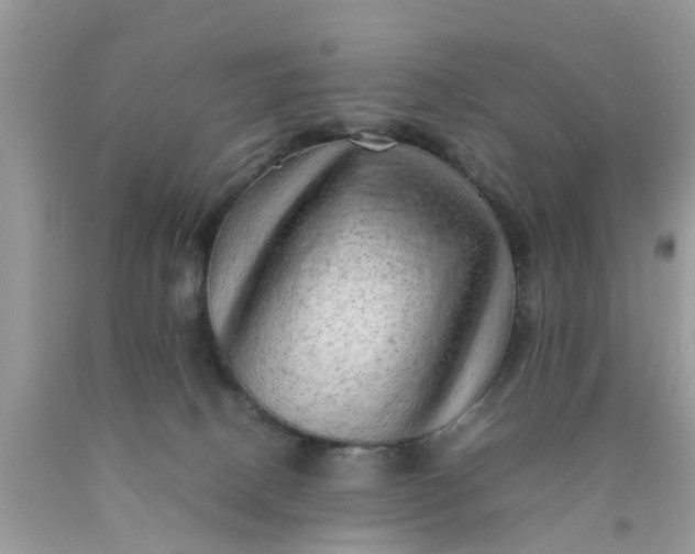 X0000090430082200707272141