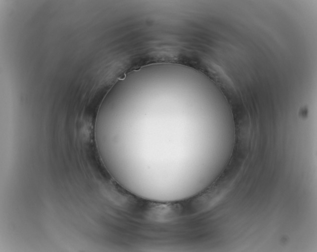 X0000090430083200707272141