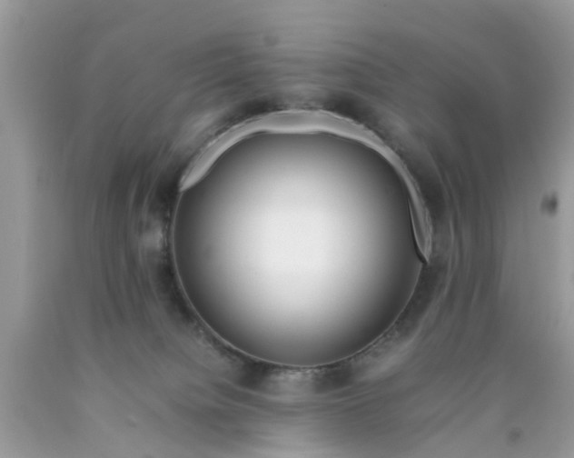 X0000090430084200707272141