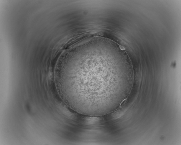 X0000090430085200707272141