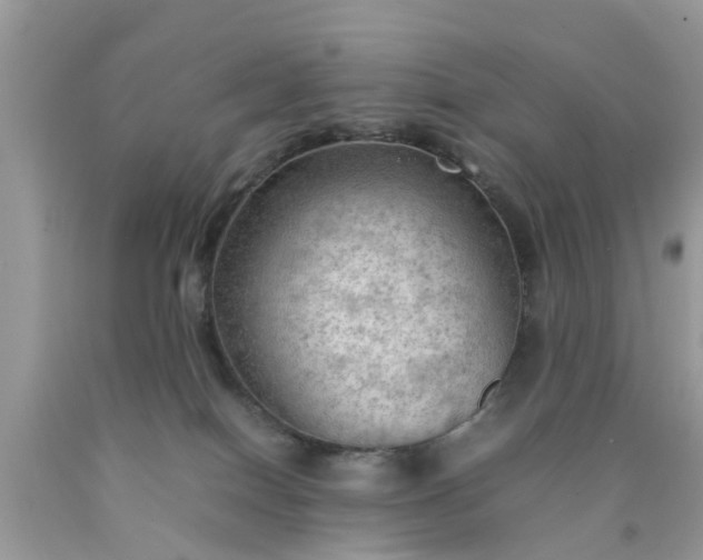 X0000090430086200707272141