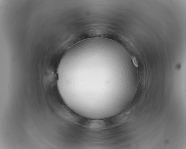 X0000090430087200707272141