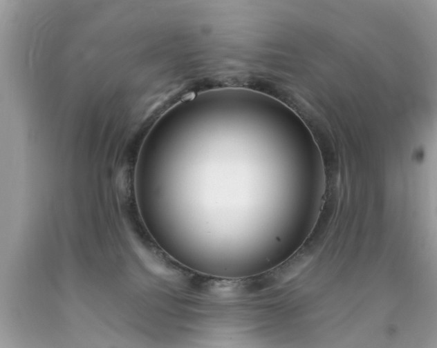 X0000090430088200707272141