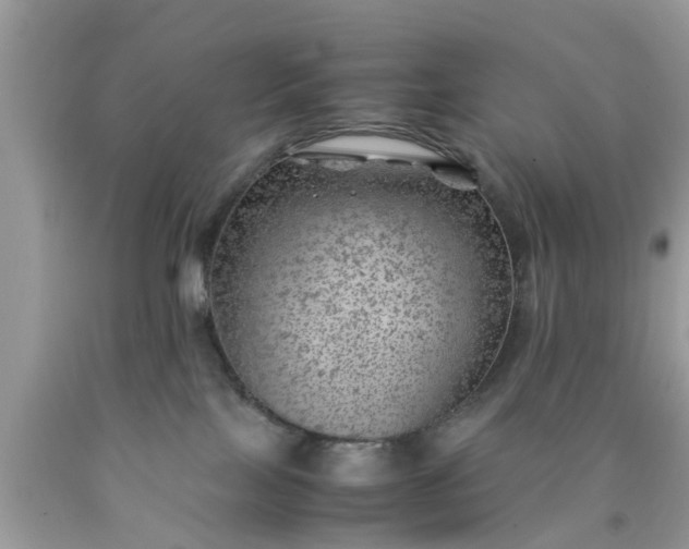 X0000090430089200707272141