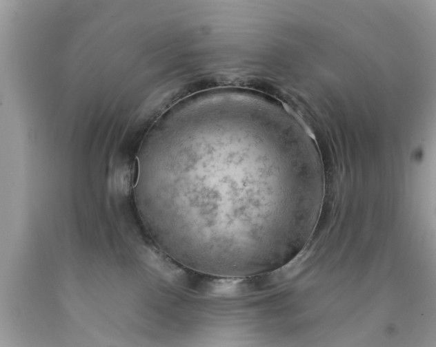 X0000090430090200707272141