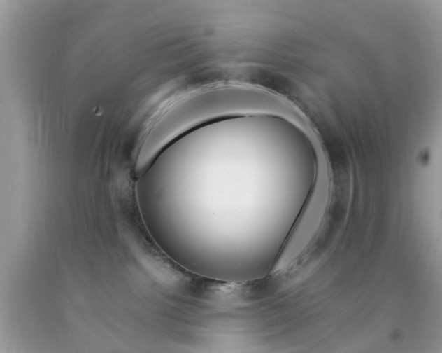 X0000090430092200707272141