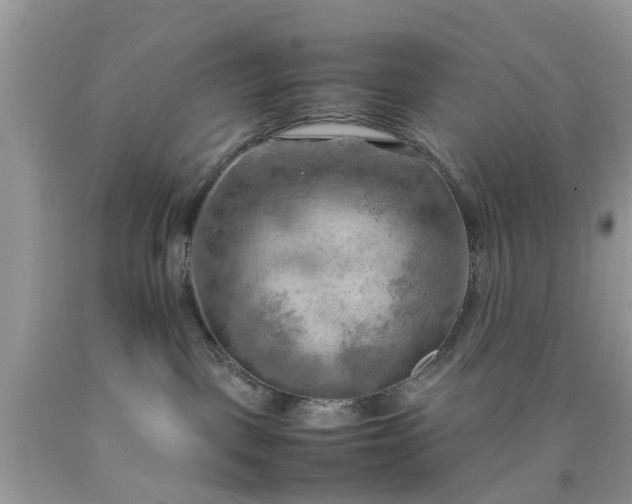 X0000090430093200707272141