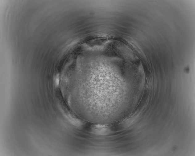 X0000090430095200707272141