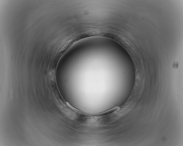 X0000090430096200707272141