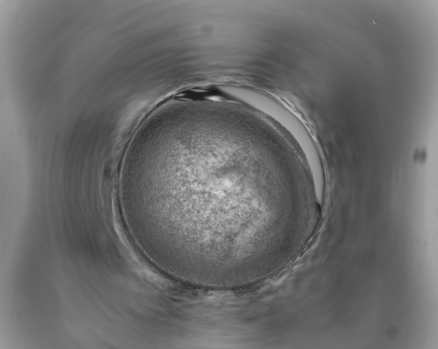 X0000090430097200707272141