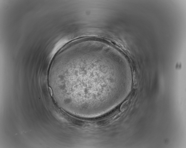 X0000090430099200707272141