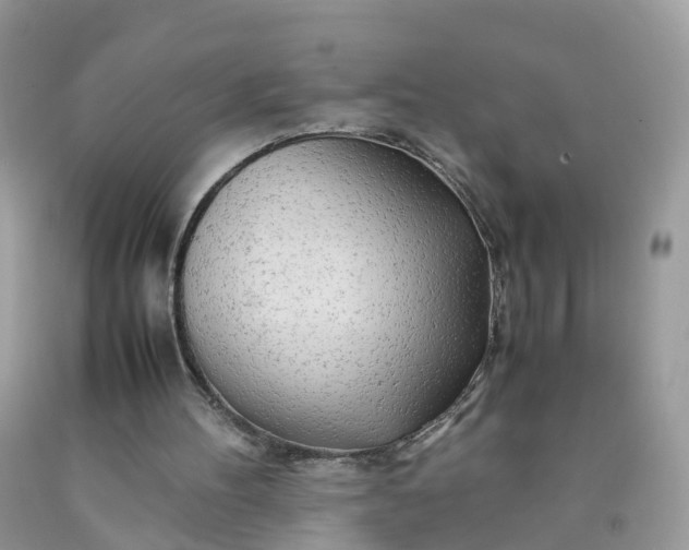 X0000090430100200707272141