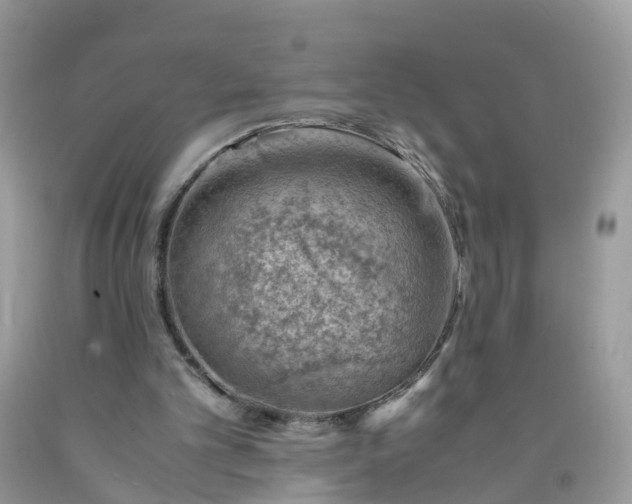 X0000090430101200707272141