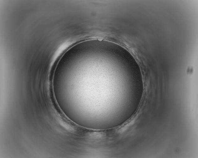 X0000090430102200707272141