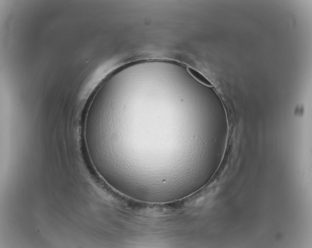 X0000090430103200707272141