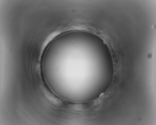 X0000090430104200707272141