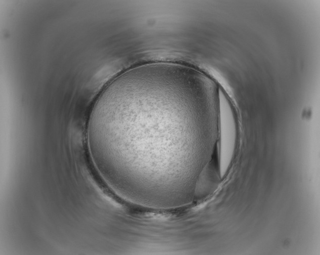 X0000090430105200707272141