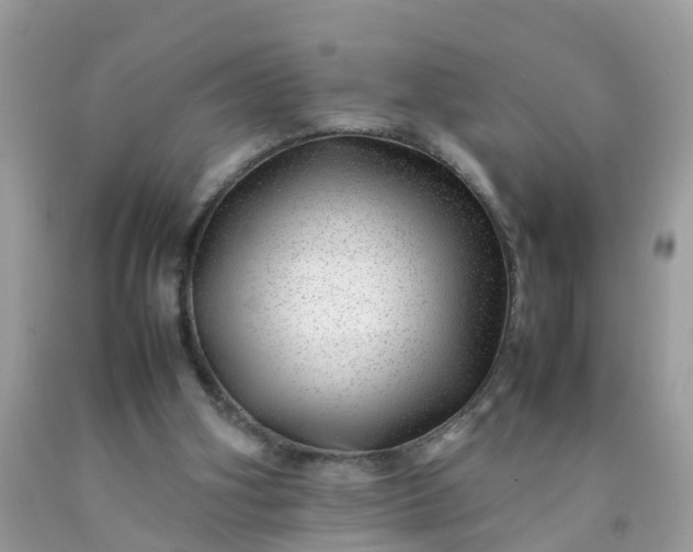 X0000090430106200707272141