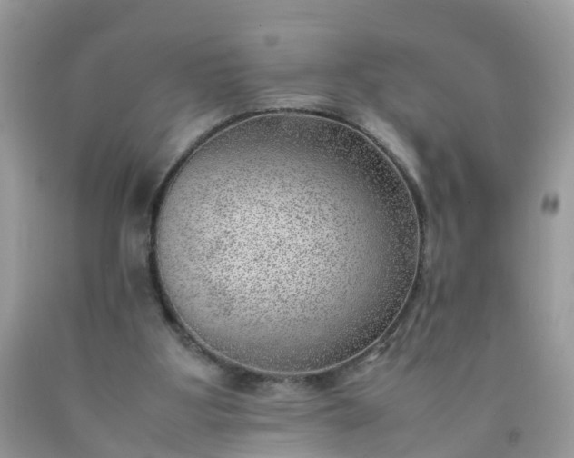 X0000090430107200707272141