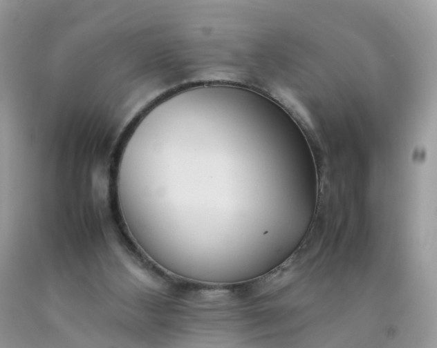 X0000090430108200707272141