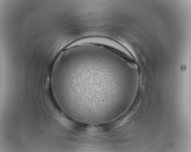 X0000090430109200707272141