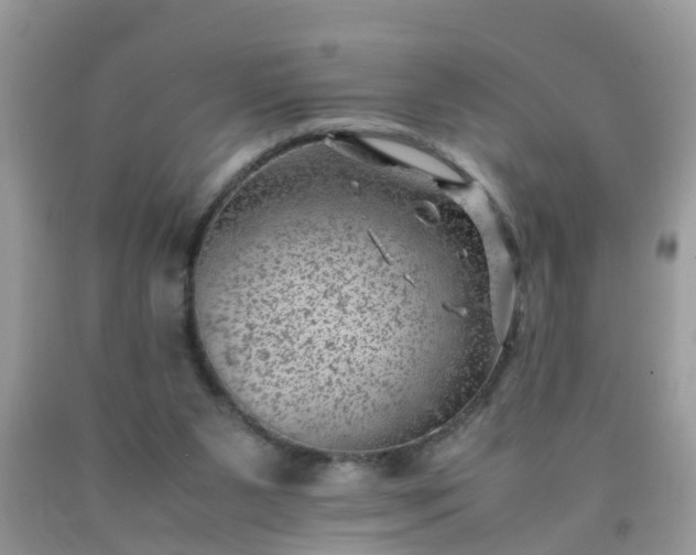 X0000090430111200707272141