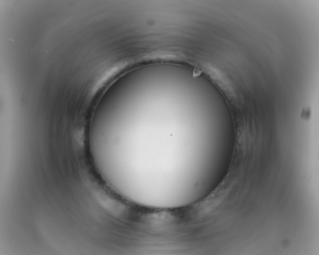 X0000090430112200707272141