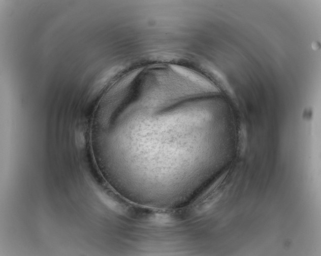 X0000090430114200707272140