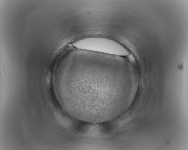 X0000090430115200707272140